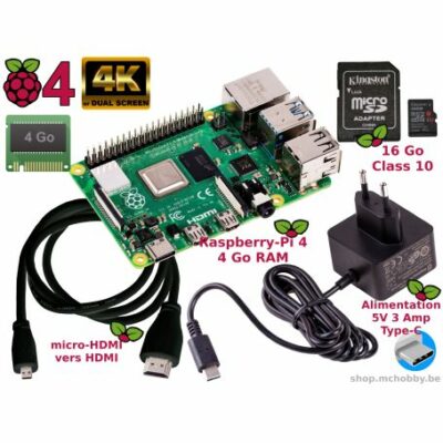 Raspberry Pi 4 8GB Essential Pack (Pi 4 inclus)
